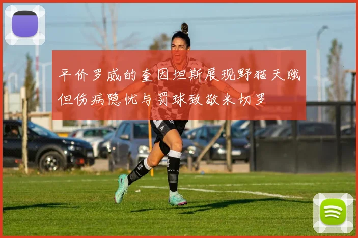 平价罗威的奎因坦斯展现野猫天赋但伤病隐忧与罚球致敬米切罗
