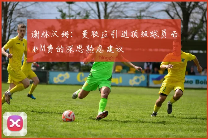 谢林汉姆：曼联应引进顶级球员而非M费的深思熟虑建议